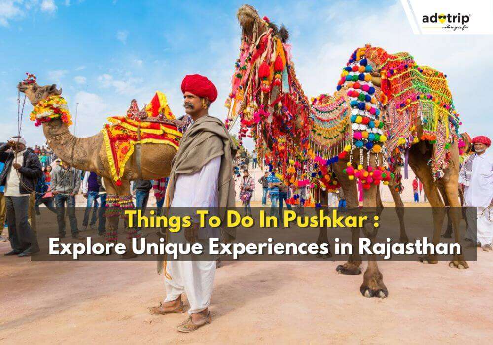 Things To Do In Pushkar